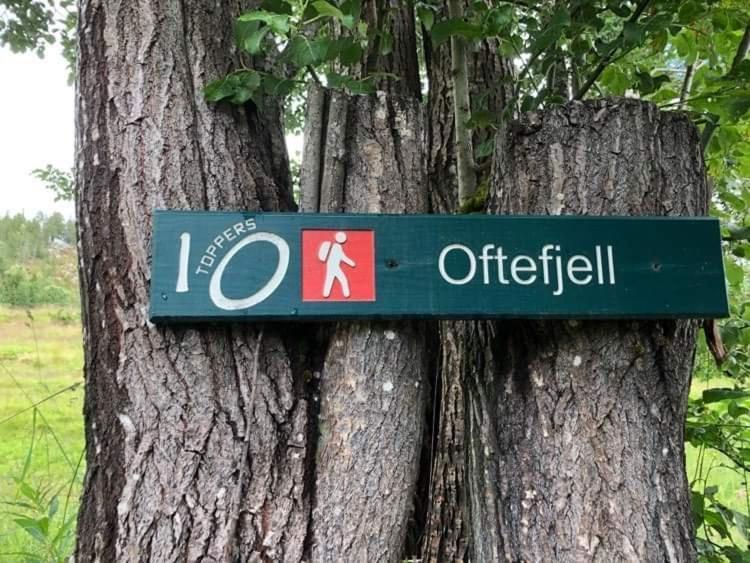 Sjarmerende Overnatting Sentralt I Vest-Telemark Hoydalsmo Exterior foto